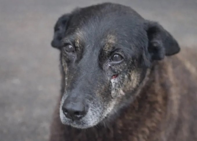 Foto: Reprodução/Redes Sociais