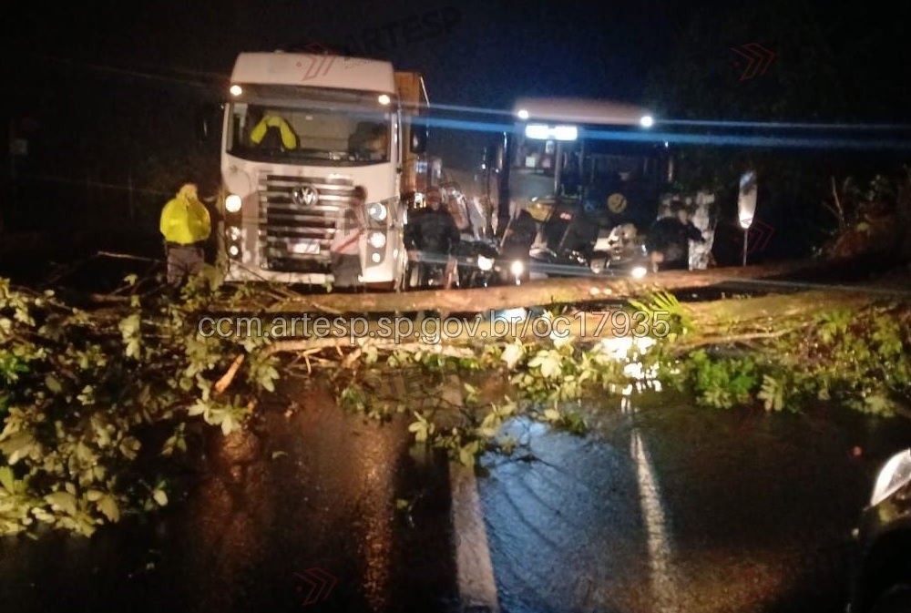 Queda de árvore interdita totalmente a Anchieta e provoca 13 km de congestionamento em Cubatão