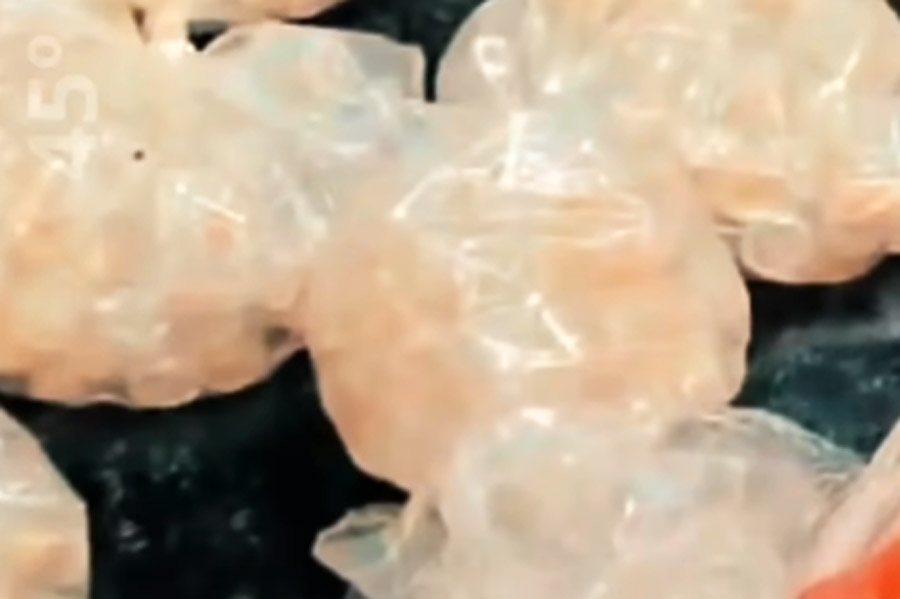 Divulgação/45º BPM/I