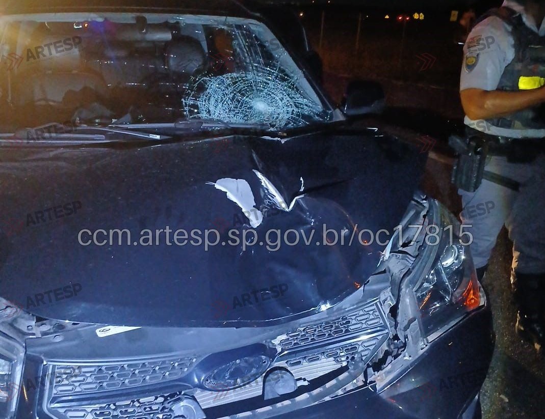 Divulgação/CCM Artesp