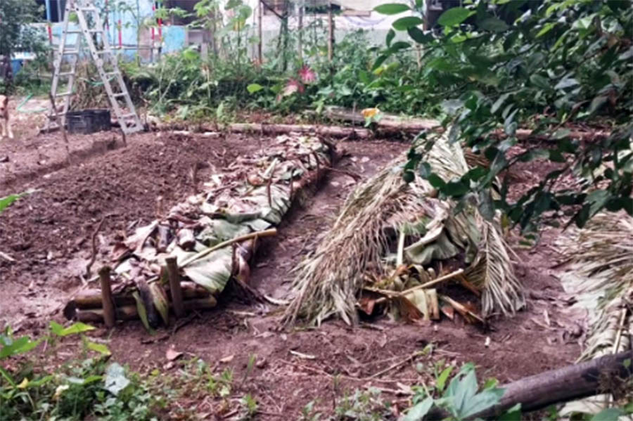 Projeto promove sustentabilidade e educação ambiental em Bertioga