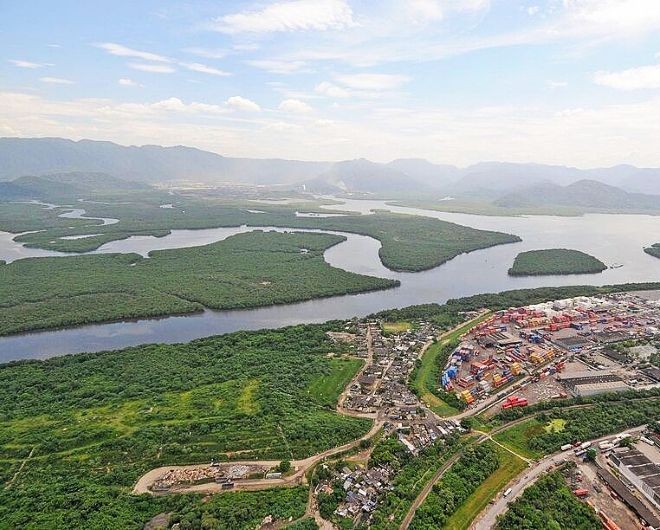 Juíza ordena fim de desmatamento em mangue para futuro terminal portuário em Santos