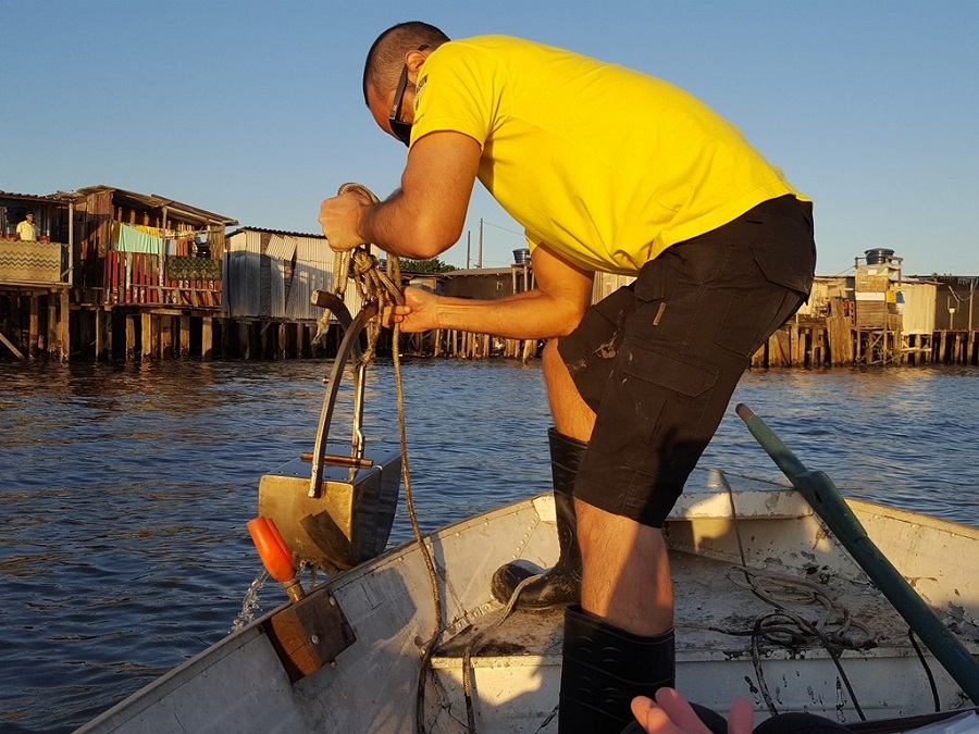 Instituto EcoFaxina lança programa gratuito de formação ecológica e voluntariado