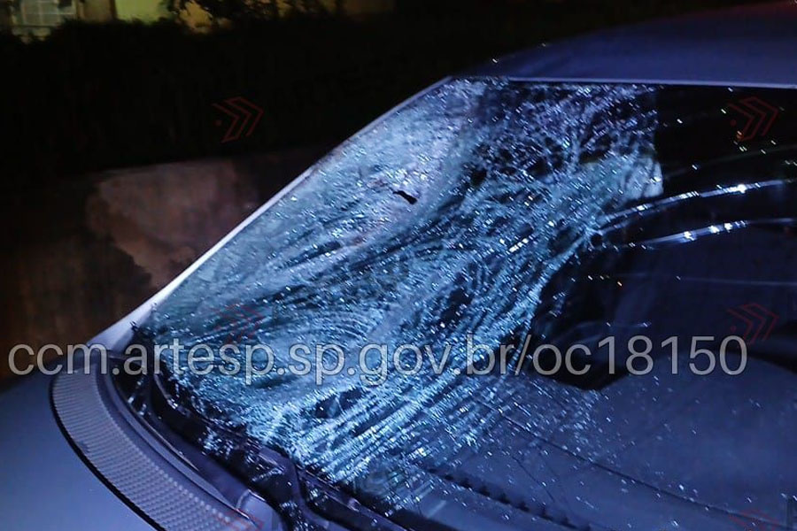 Pedestre morre após ser atropelado por diversos veículos na Rodovia Padre Manoel da Nóbrega