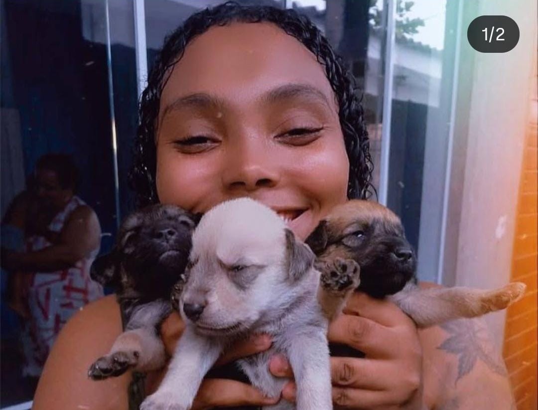 Após caso Orelha, protetores da Baixada relatam aumento de denúncias de maus-tratos