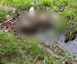 Corpo é encontrado dentro de córrego em Vicente de Carvalho