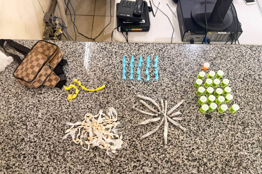 Mais de 150 porções de drogas são apreendidas pela GCM nas proximidades de escola em São Vicente