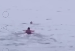 Suspeito tenta fugir de PMs pelo mar após denúncia de agressão em Santos