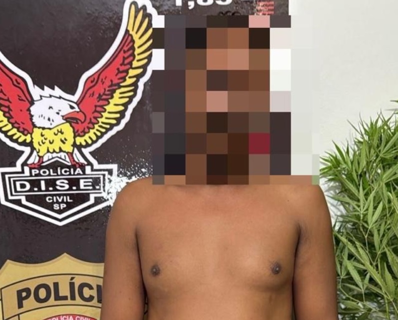 Cheiro de maconha leva polícia a descobrir plantio e prender homem em Itanhaém