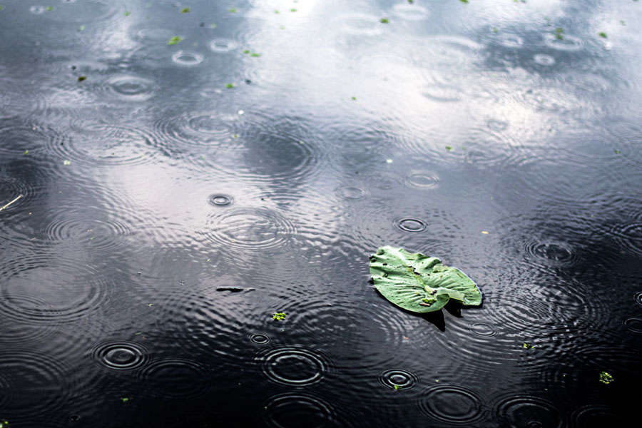 Defesa Civil de Mongaguá se reúne com Estado e alerta para chuvas intensas neste fim de semana