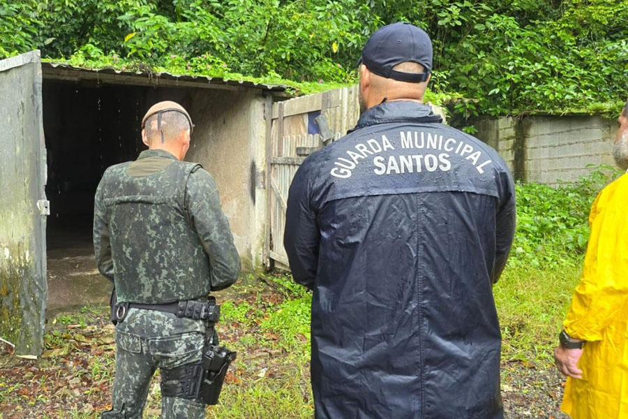 Operação desmonta ocupações irregulares em comunidade de Santos