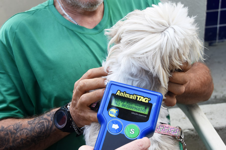Pet PG Chip retorna em 2026 com ação de microchipagem em cães e gatos