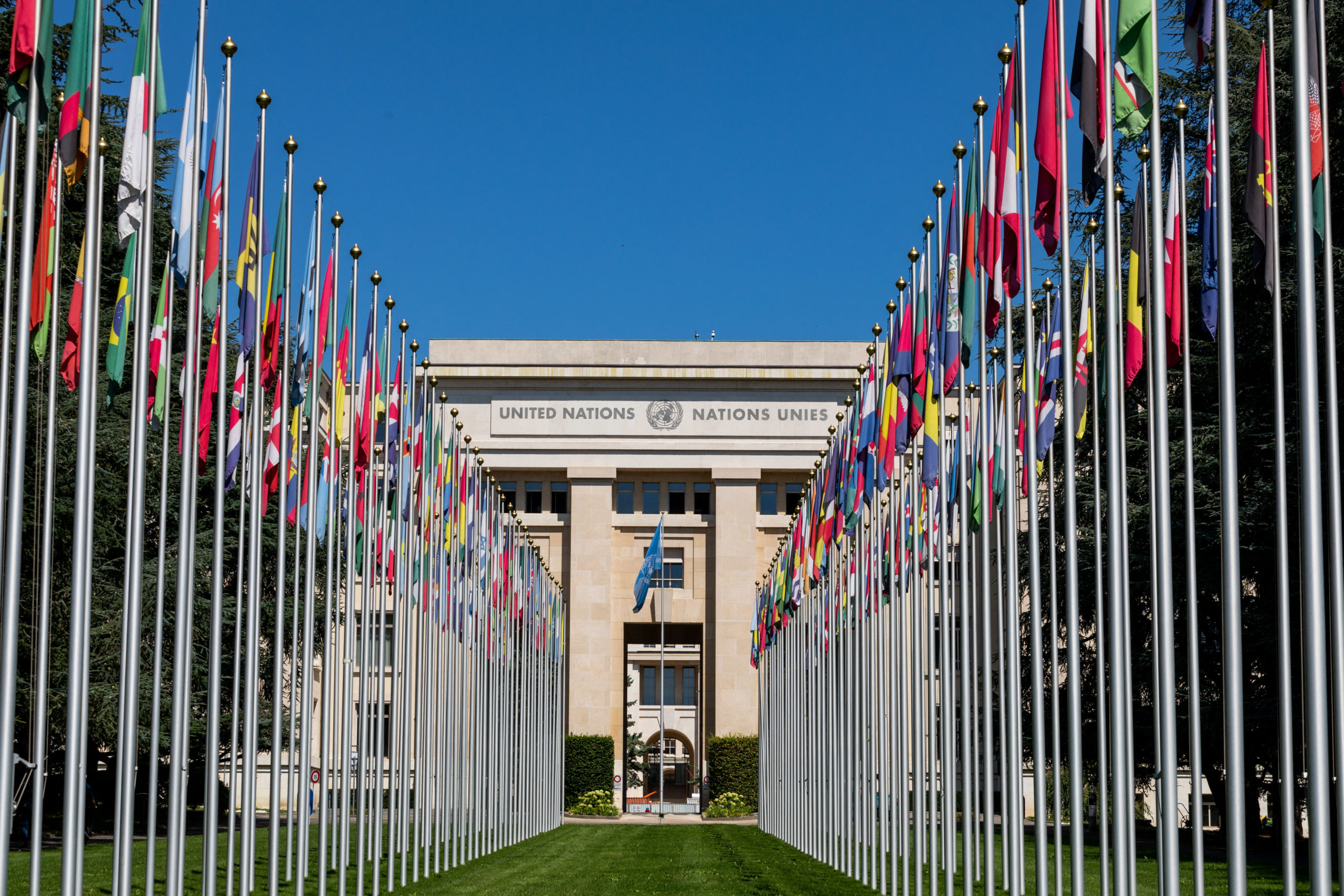 Guerra já deslocou cerca de 3,2 milhões de pessoas no Irã, afirma ONU