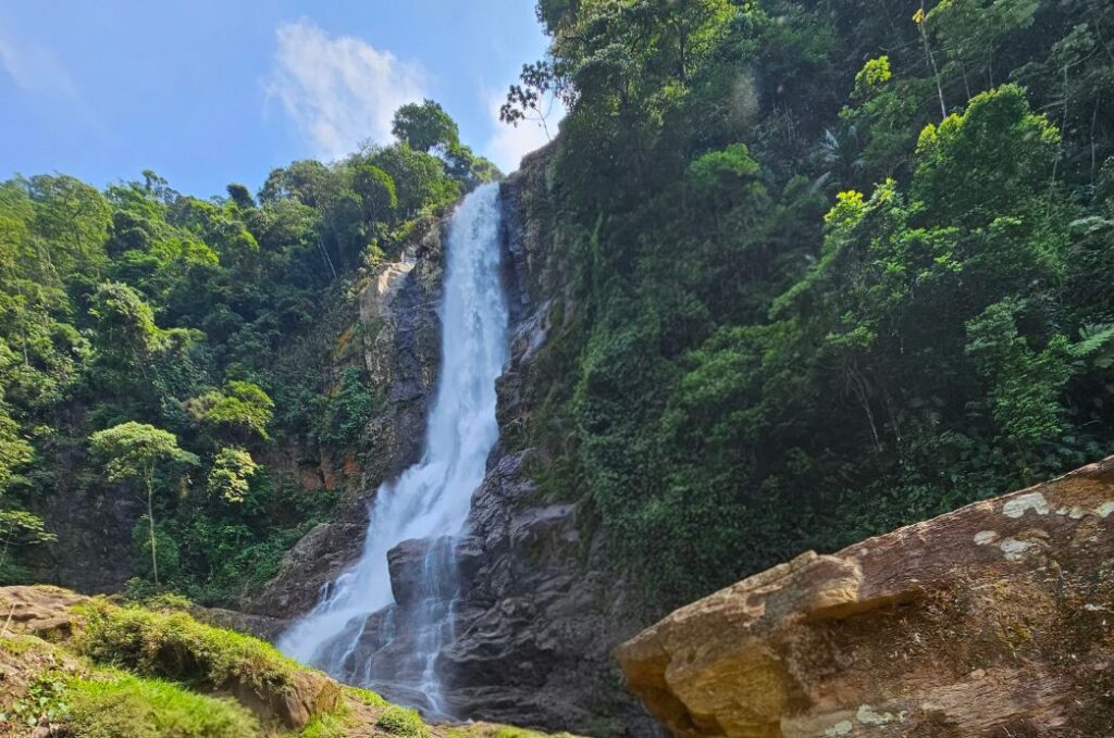 Cubatão é reconhecida novamente como “Cidade Árvore do Mundo” e reforça agenda ambiental