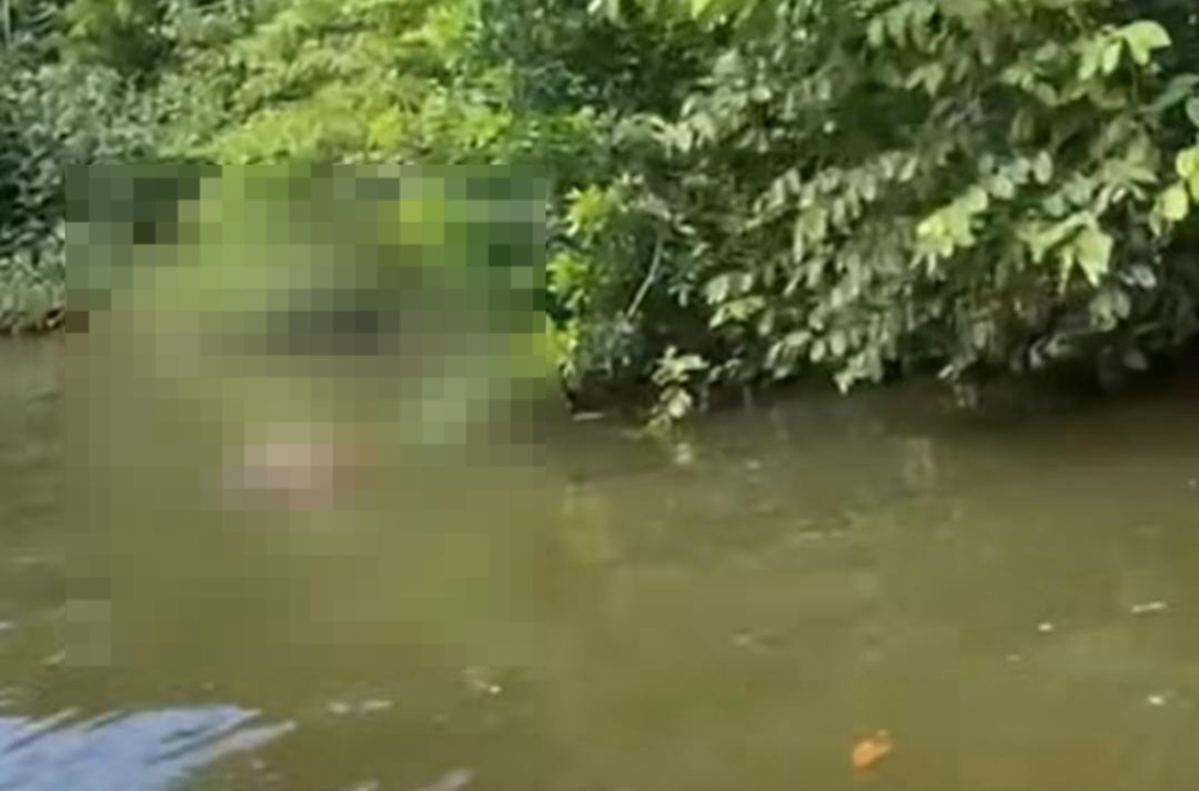 Homem é encontrado morto no Rio Peruíbe; caso é registrado como morte suspeita