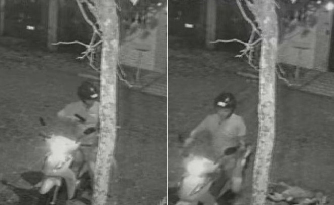 TJ-SP afasta estado de necessidade e guarda de Santos é condenado por executar pitbull