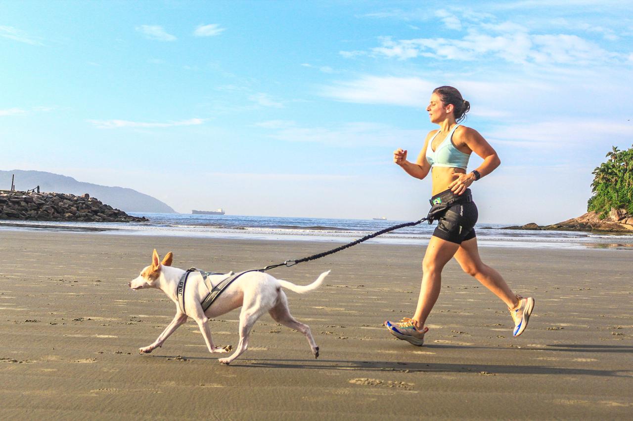 Santos recebe corrida com participação especial de cães, na primeira prova CaniCross do litoral