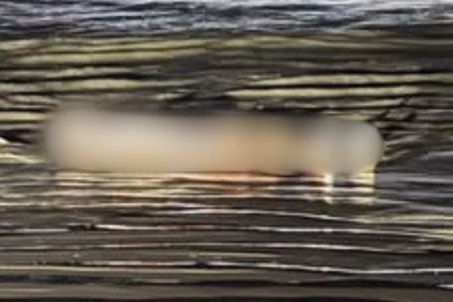 Cadáver sem roupa é encontrado em praia de Bertioga