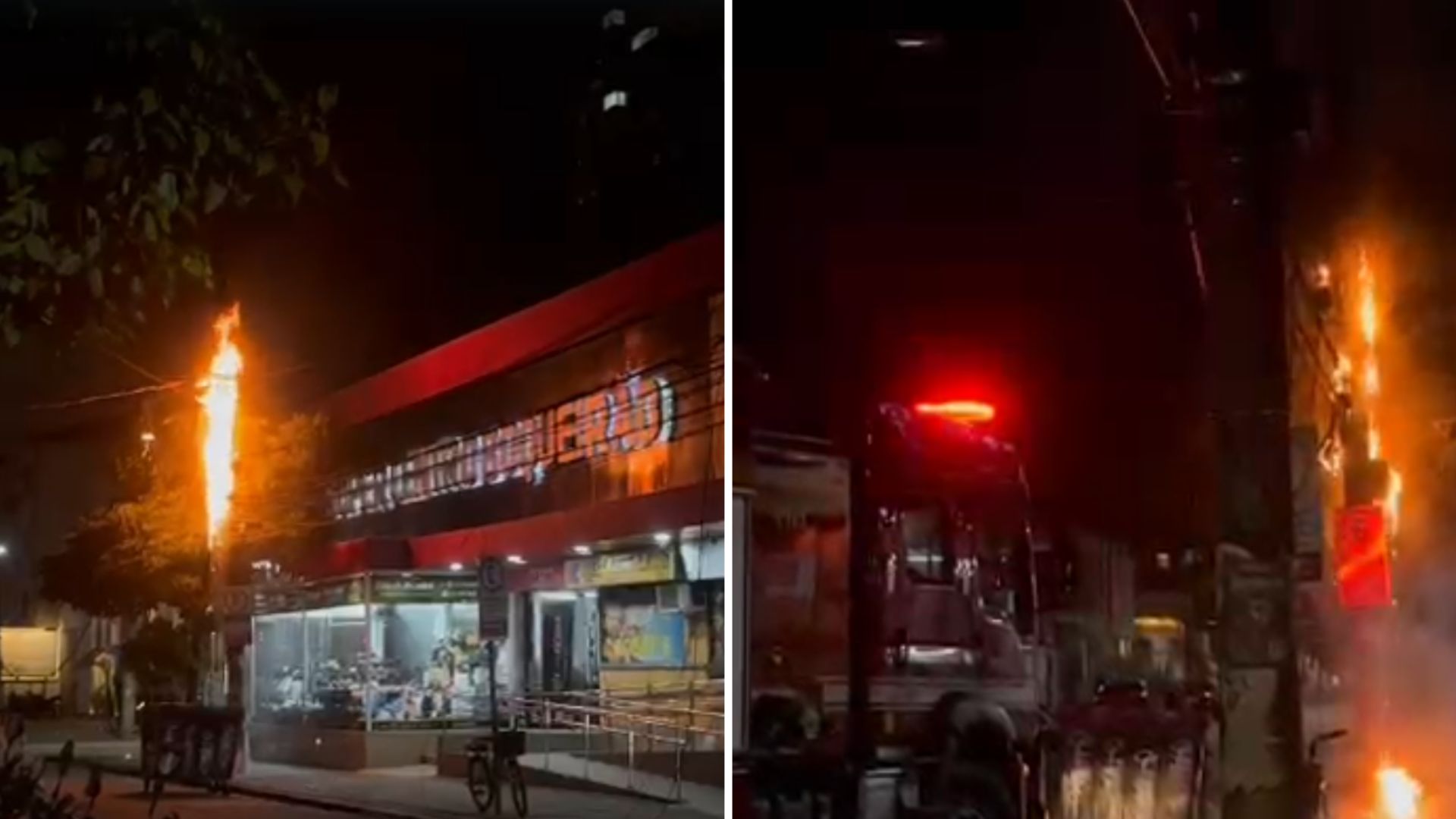 Créditos: Bianca Novais