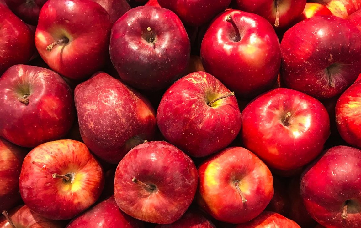 Preço da maçã sobe no início de 2026, mas normalização deve ocorrer em breve