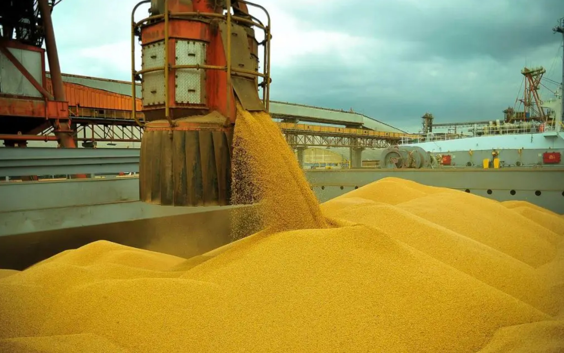 Guerra no Oriente Médio pode afetar um terço das exportações de frango e milho do Brasil