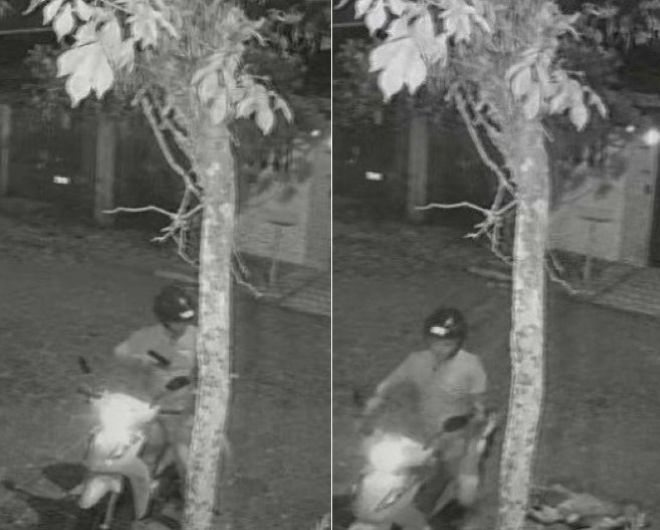 TJ-SP afasta estado de necessidade e guarda de Santos é condenado por executar pitbull