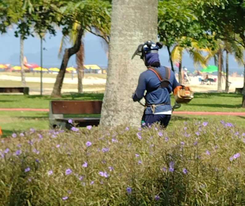 Corte de grama cresce quase 70% em áreas atendidas em Santos