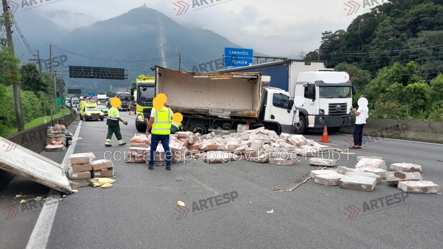 Caminhão tomba e derrama carga de frango congelado em Cubatão