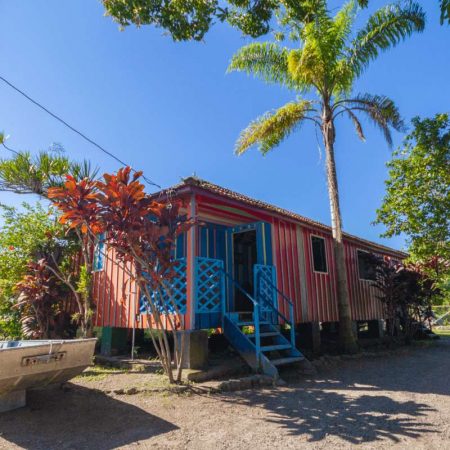 Reprodução/Revista nove