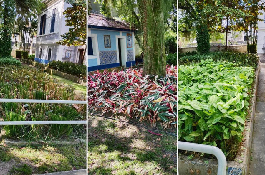 Jardim Botânico e Casa das Culturas de Santos recebem cuidados paisagísticos
