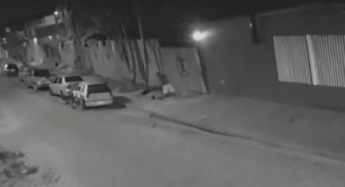 Mulher é morta a pauladas em Itanhaém; autor do crime fugiu