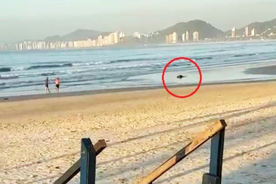 Cabo do Exército vira réu por matar ladrão com tiro nas costas em praia de Guarujá