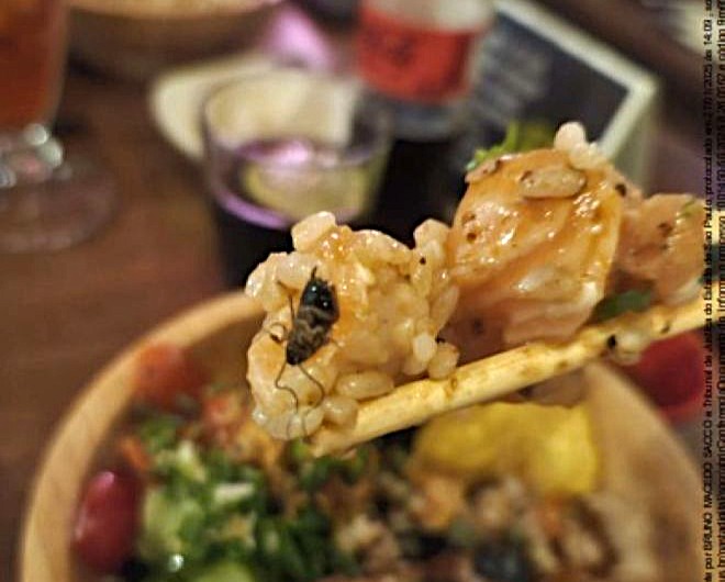 Justiça nega perícia e confirma condenação de restaurante de Santos por barata em alimento