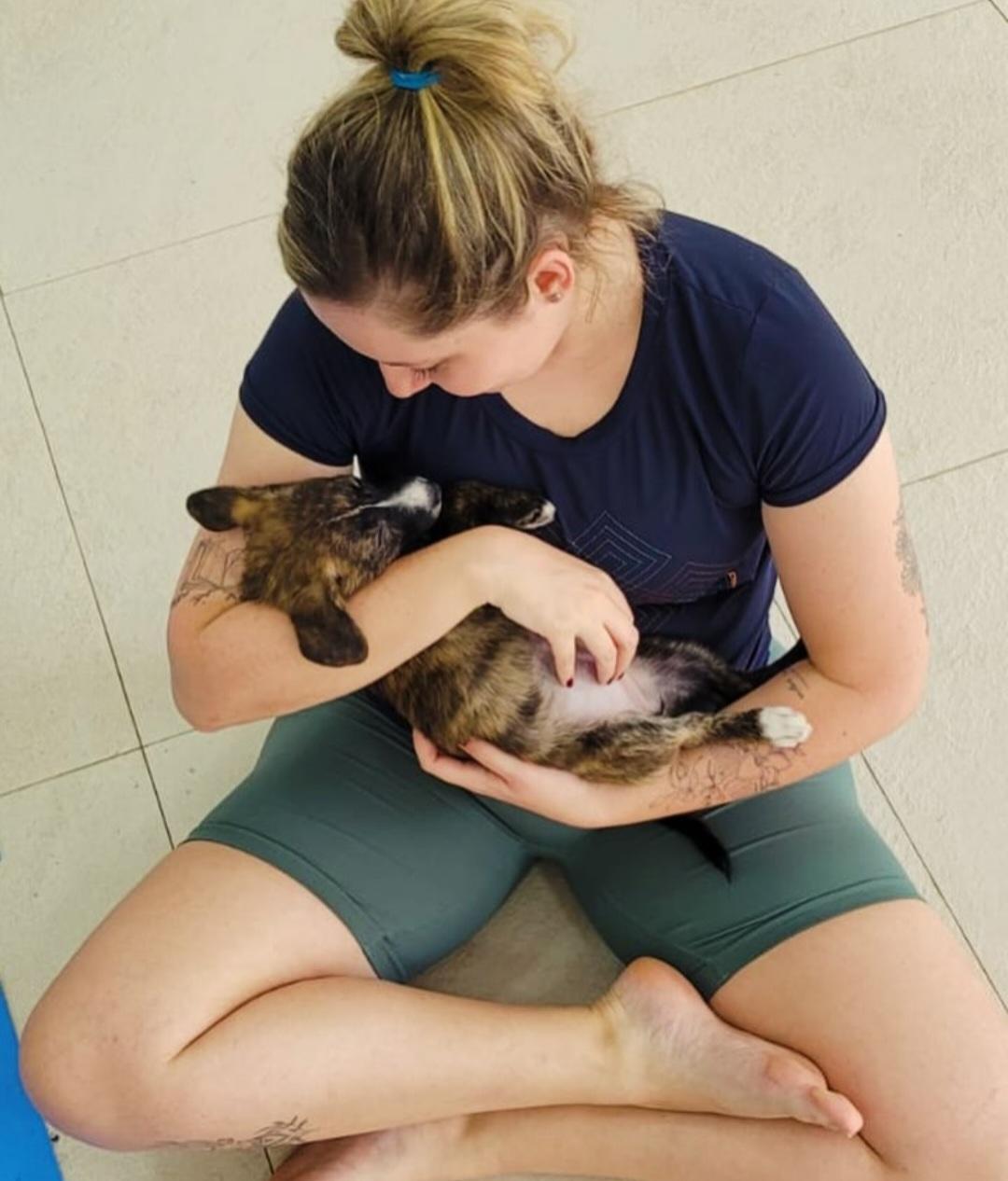 Evento em Santos une prática de bem-estar e incentivo à adoção de cães