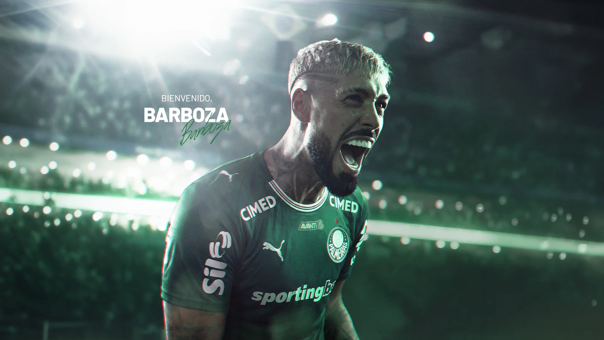 Palmeiras anuncia contratação do zagueiro Alexander Barboza, ex-Botafogo