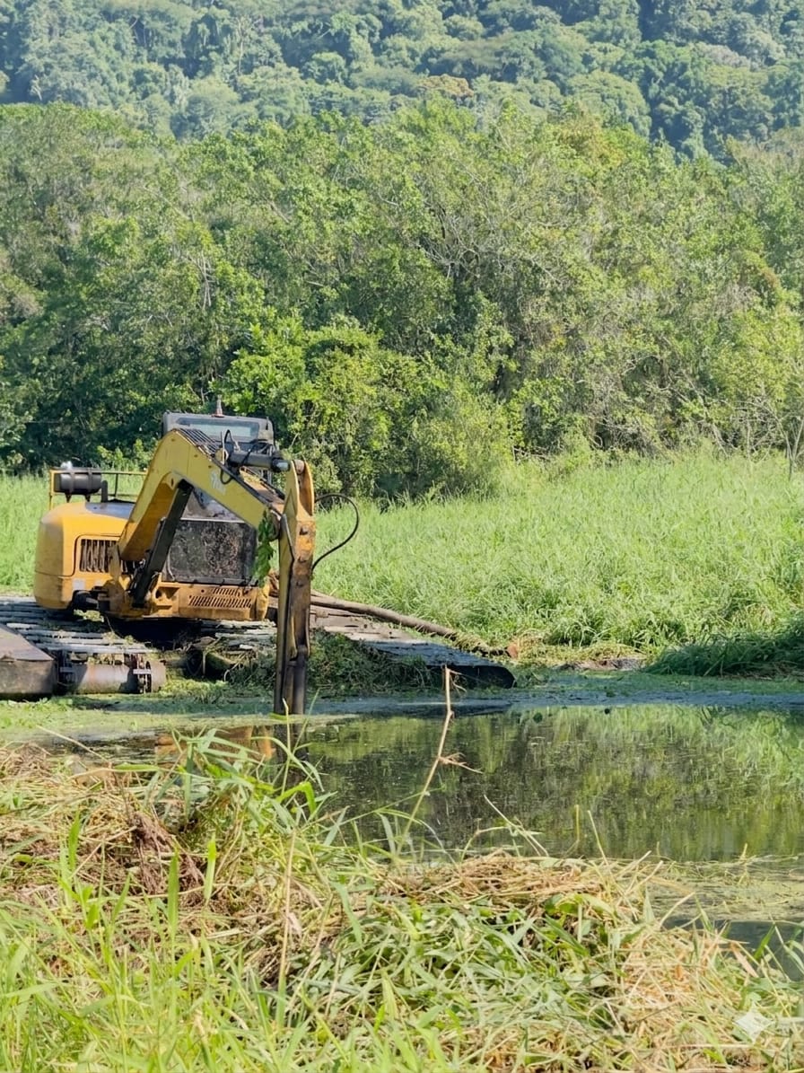 Restos mortais são encontrados dentro de rio em Mongaguá