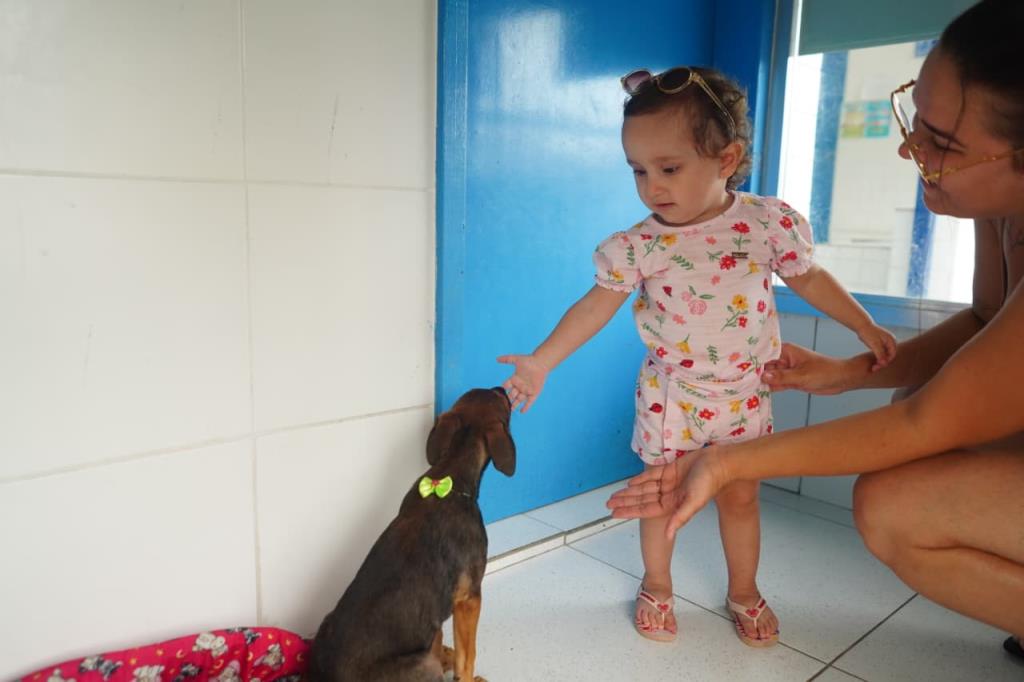 Voluntários podem a levar cães e gatos da Zoonoses para passear em Mongaguá