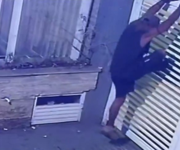 Barbearia é furtada durante a madrugada na Aparecida; VÍDEO