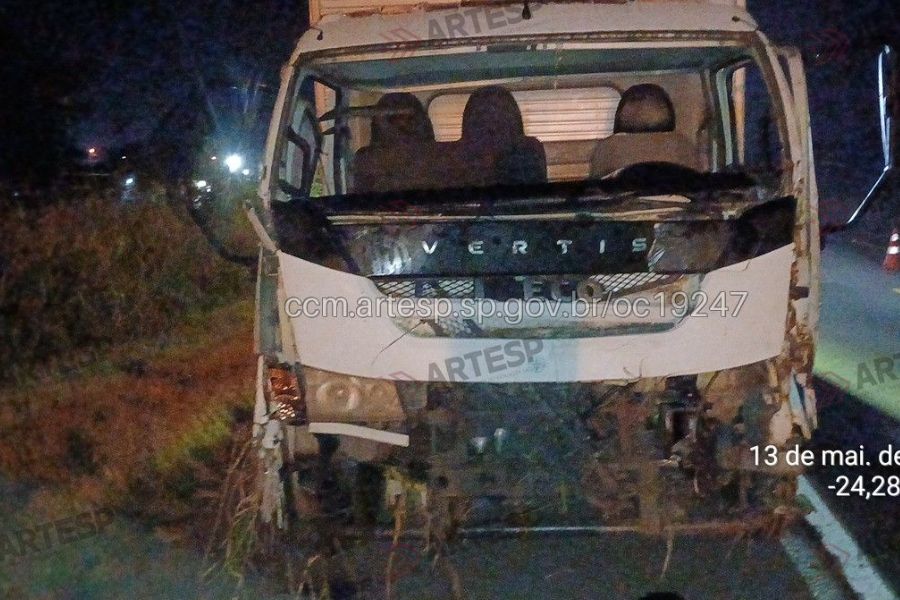 Cavalos são atropelados por carretas em rodovia de Peruíbe