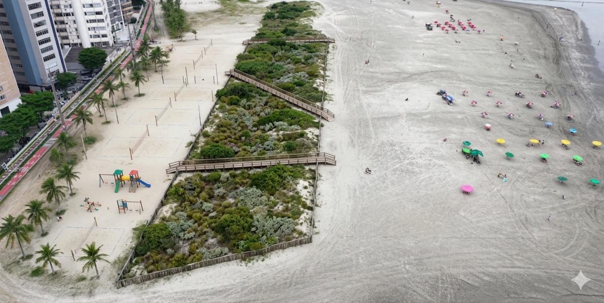 Vegetação que reapareceu na praia de Santos pode ajudar no combate às ressacas 