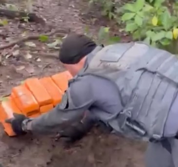 Policiais apreendem mais de 100kg de maconha em área de mata em Guarujá