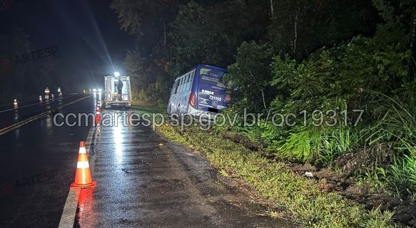 Ônibus sai da pista e vai parar no meio de vegetação em Santos