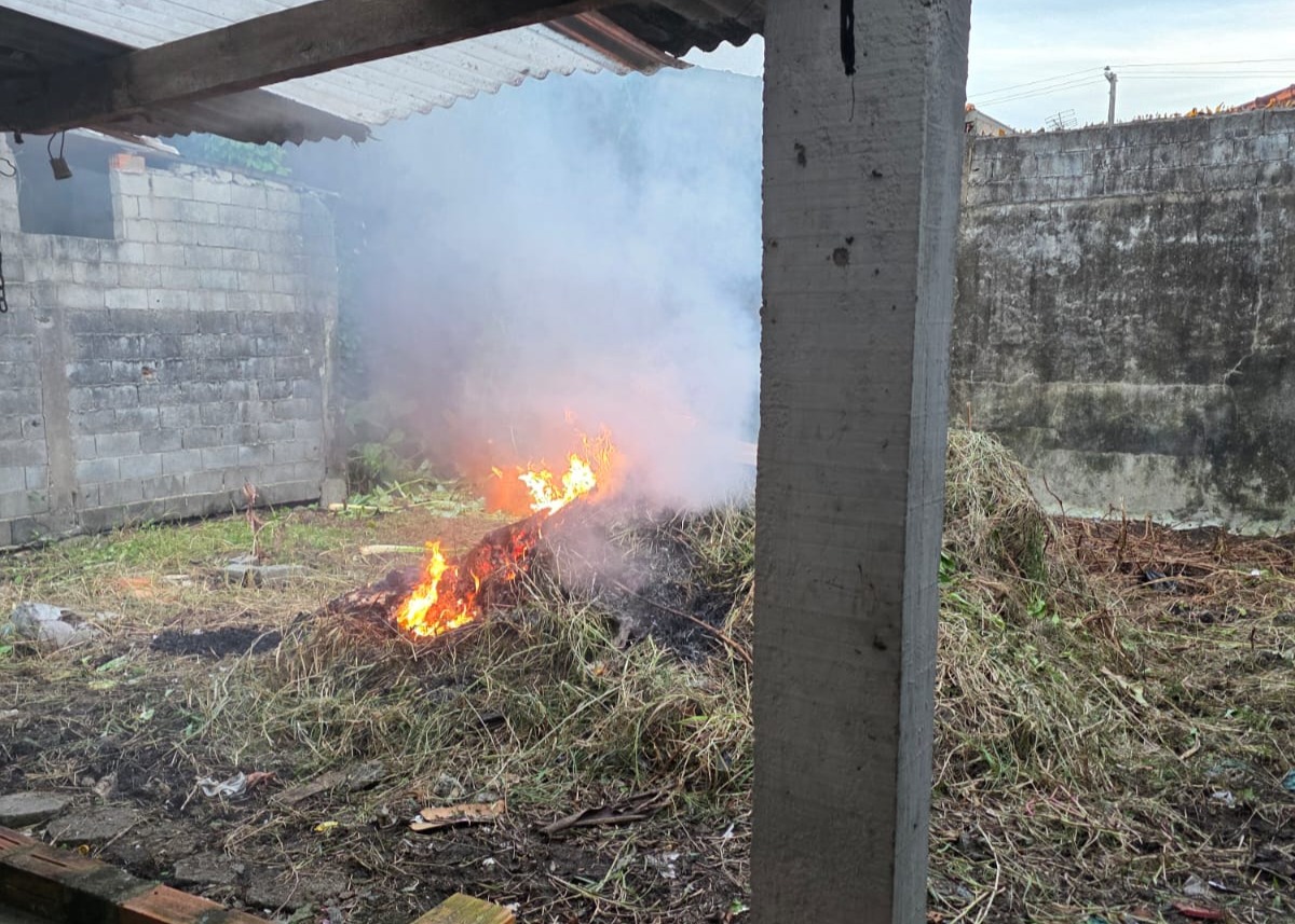 Queimada ilegal quase atinge casa de idosa em Mongaguá e mobiliza Defesa Civil