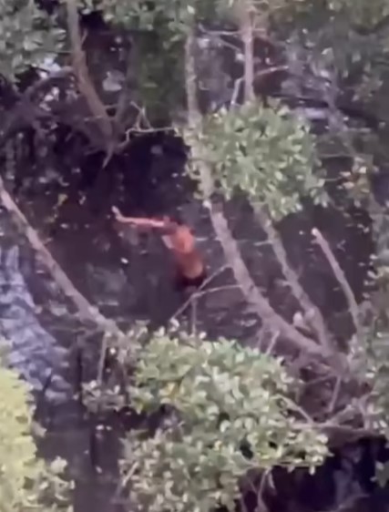 Com apoio de drones, PM detém homem em área de mata em Cubatão; VÍDEO