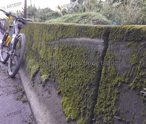 Ciclista morre após perder controle da bicicleta e bater contra barreira em rodovia de Santos