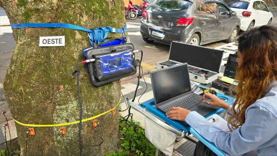Guarujá utiliza equipamentos inéditos em serviços de poda ecológica