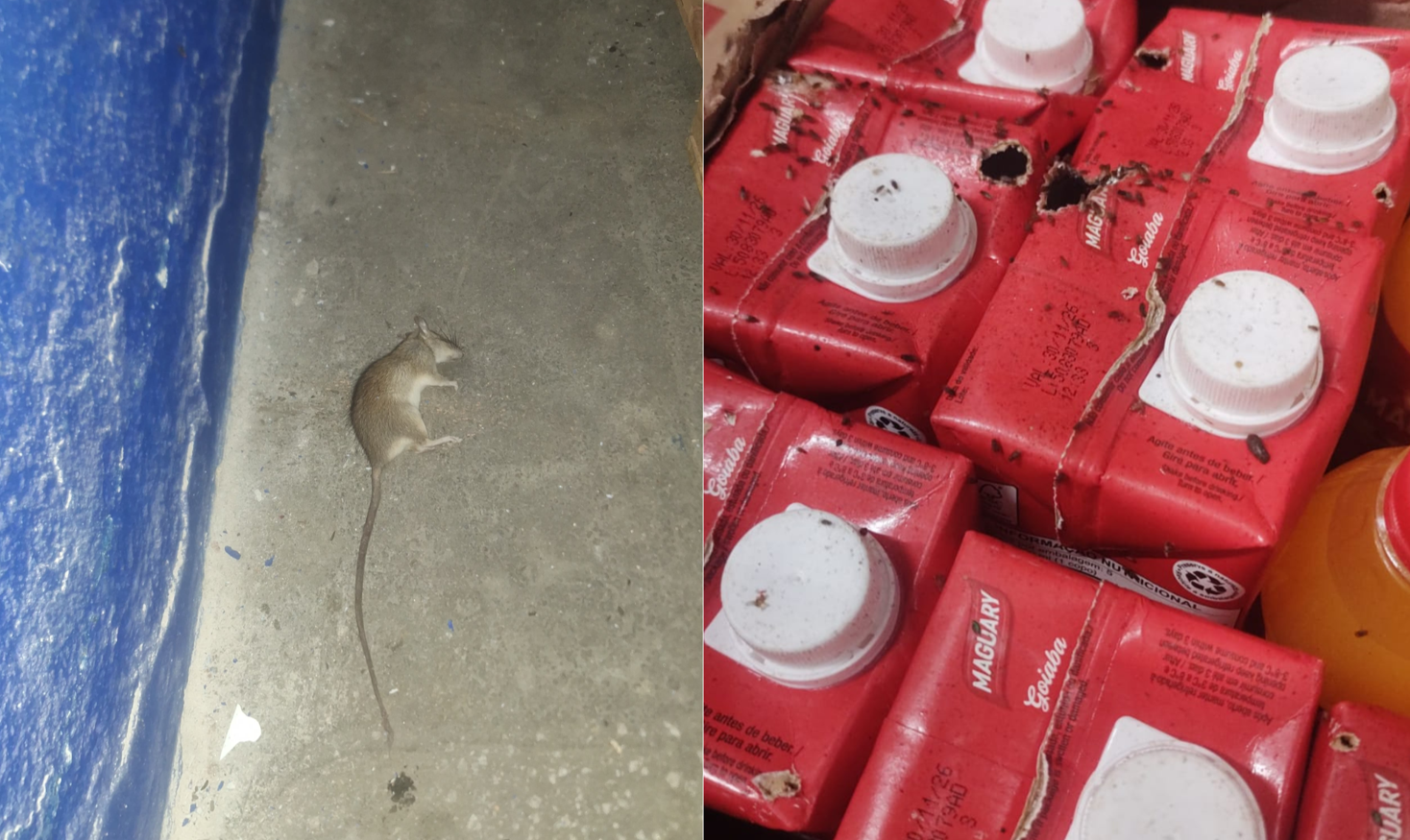 Vigilância Sanitária endurece fiscalização e amplia interdições na Baixada Santista