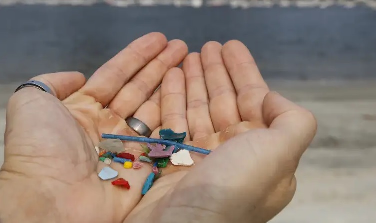 Estudo encontra microplásticos e contaminantes químicos no mar profundo da Bacia de Santos