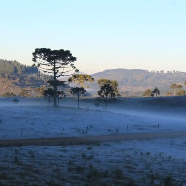 SC registra menor temperatura do ano e 44 cidades ficam abaixo de 0ºC